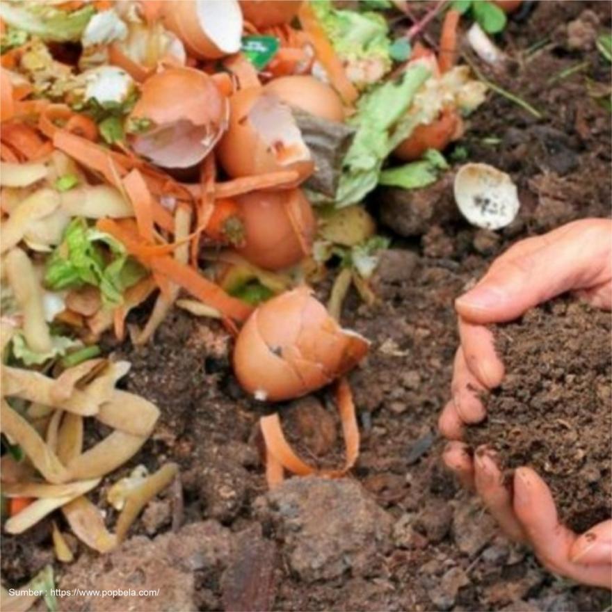 Pemanfaatan Sampah Rumah Tangga Untuk Pupuk